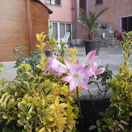 Casa Da Colina Farm stay
