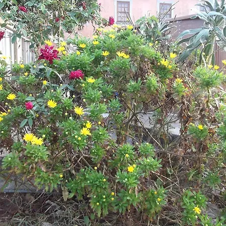 Casa Da Colina *